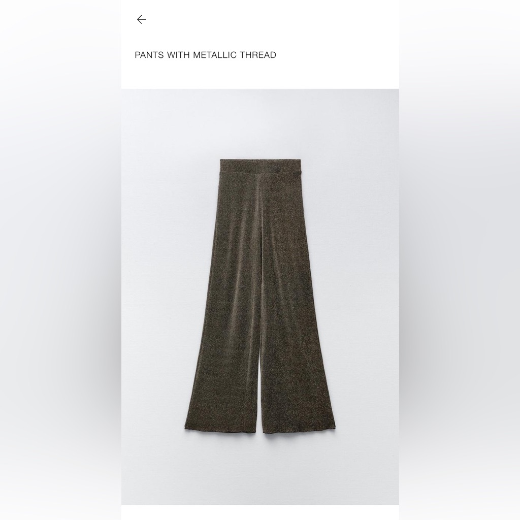 Brand New Zara Pants With Metallic Threads